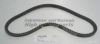 DAIHA 9932100761 V-Belt